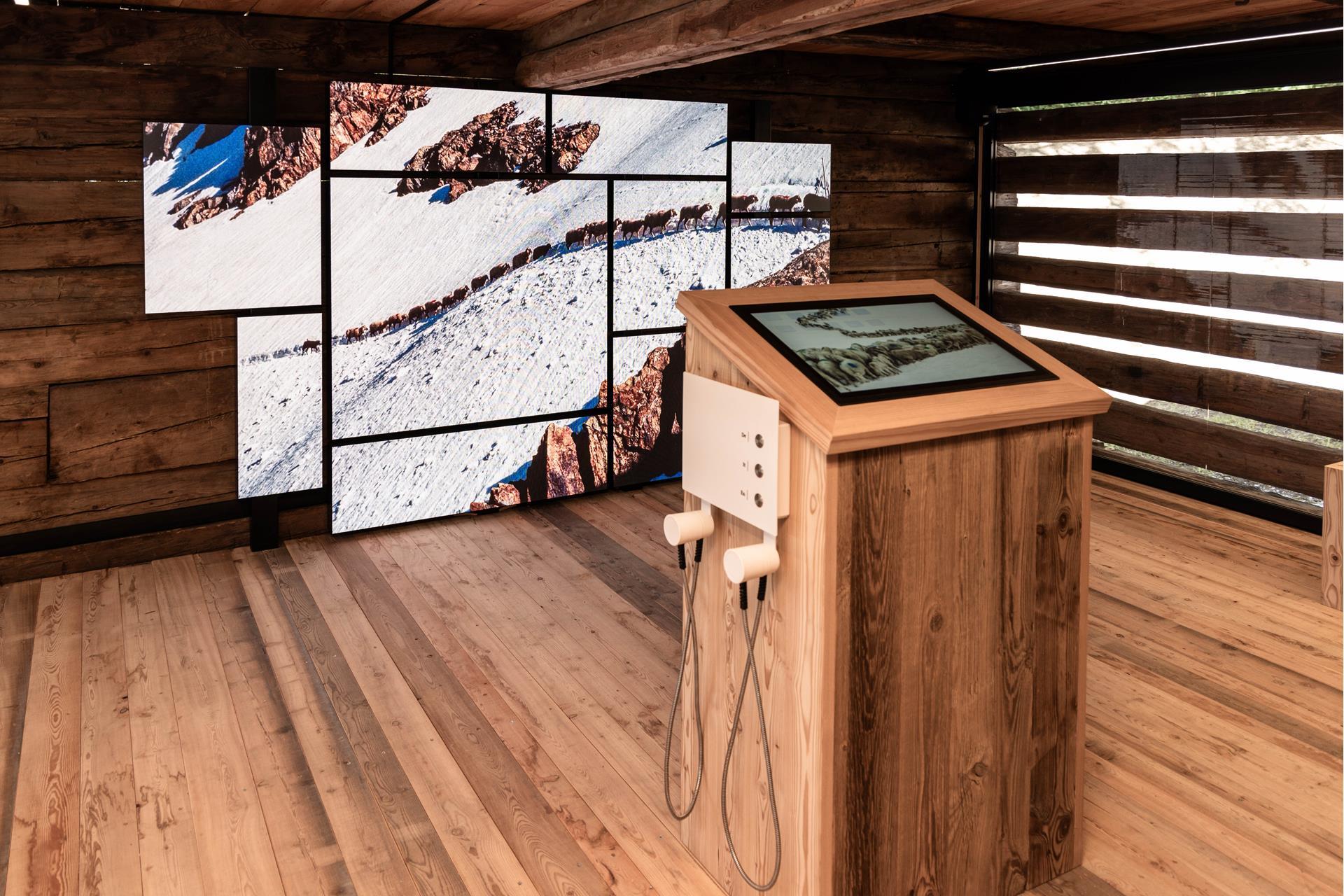 campus-transhumanz-2025-peter-santer-9