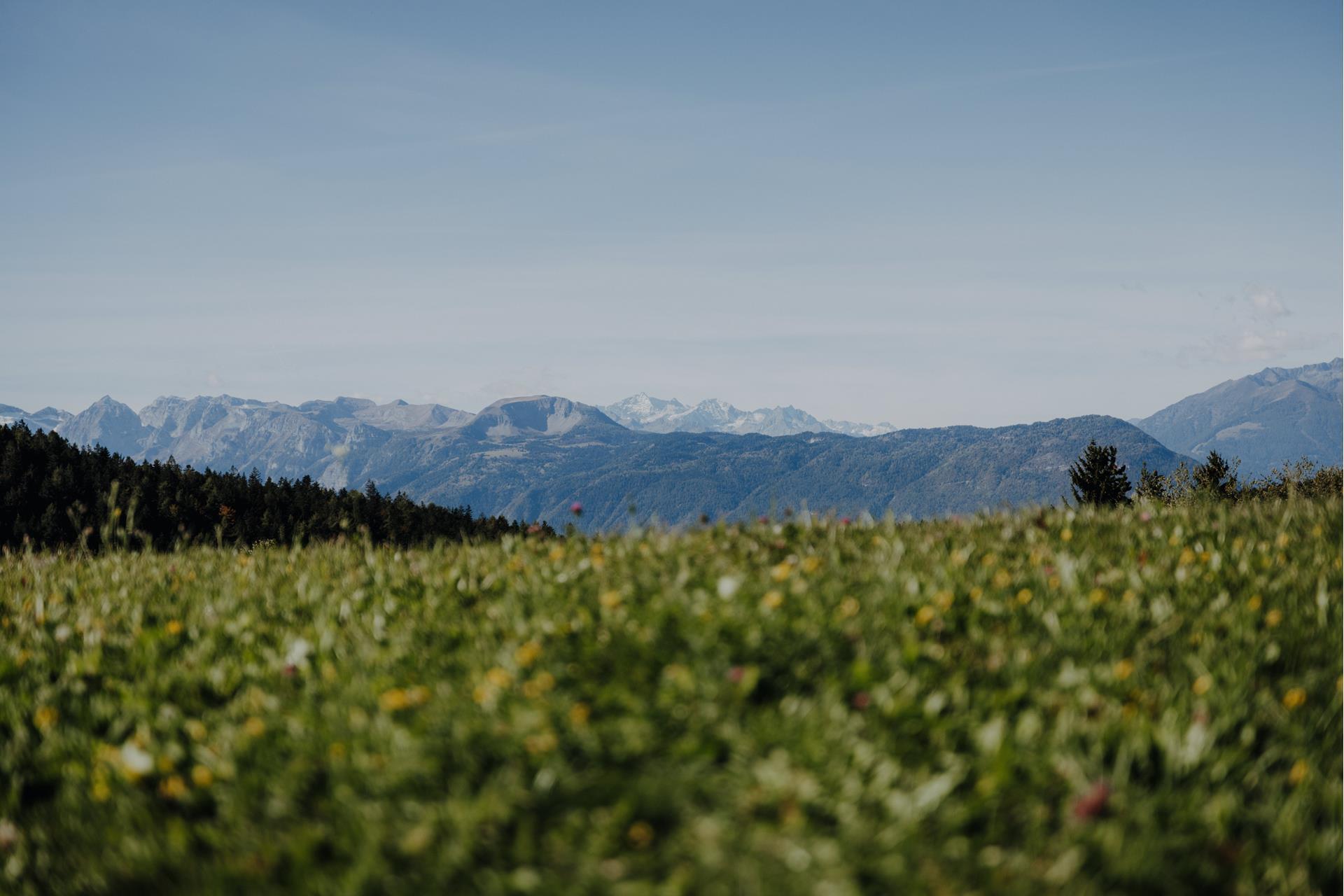 lanaregion-it-maike-wittreck-rennrad-12