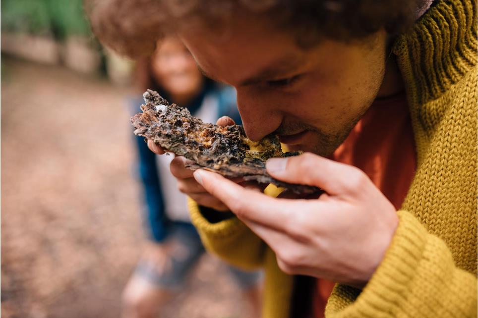 tv-hafling-voeran-meran2000-benjamin-pfitscher-energiequelle-wald-2024-7