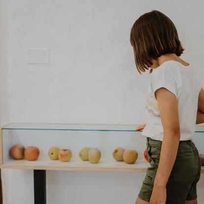 Ausflugsziele und Erlebnisse für Kinder