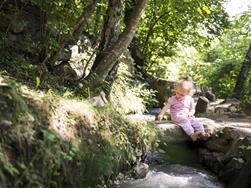 Alles im Fluss - die Waalwege in Südtirol