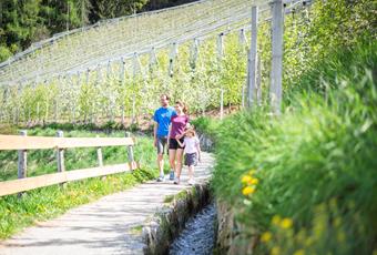 Escursioni con bambini a Scena presso Merano