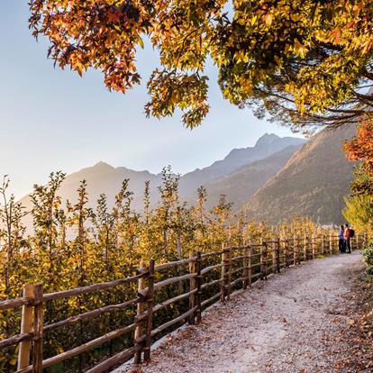 hannes-niederkofler-herbstwandern-4