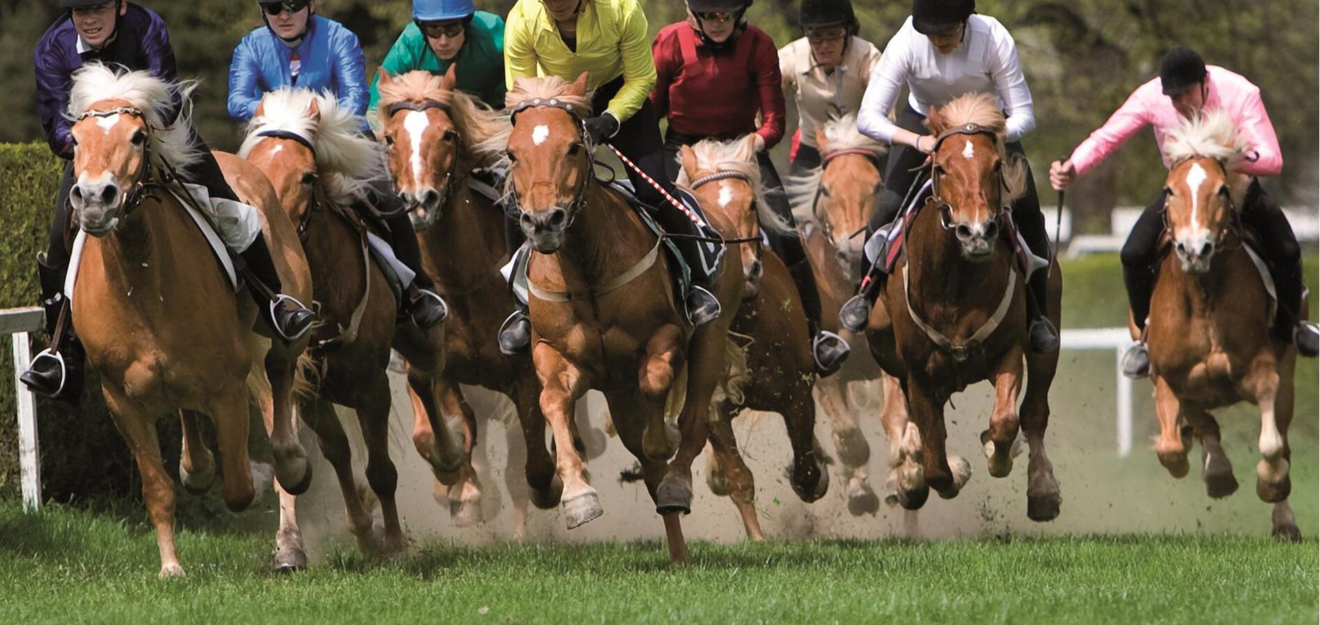 Foly racconta: 130 anni di corse al galoppo rusticane a Merano