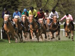 Foly racconta: 130 anni di corse al galoppo rusticane a Merano