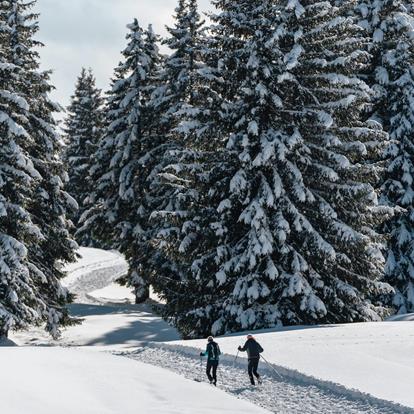 Lana connects. Movement and memories.