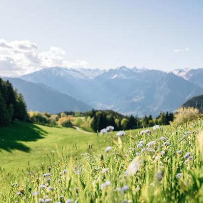 Escursioni con bambini ad Avelengo, Verano e Merano 2000