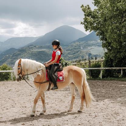 Horse Riding in Lana and Environs