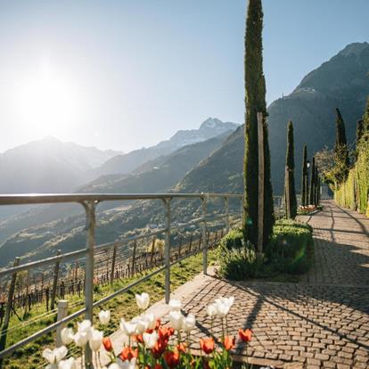 Sentieri tematici e passeggiate