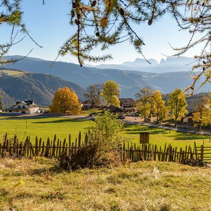 Monitoringbericht Tschögglberg