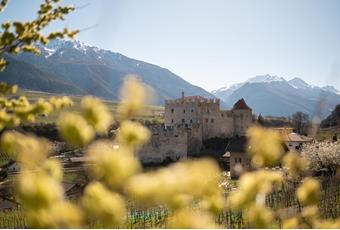 Fortezze e castelli