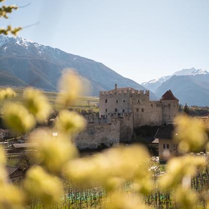 Castles & Palaces
