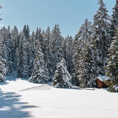 Wandern und Spazieren in Lana und Umgebung