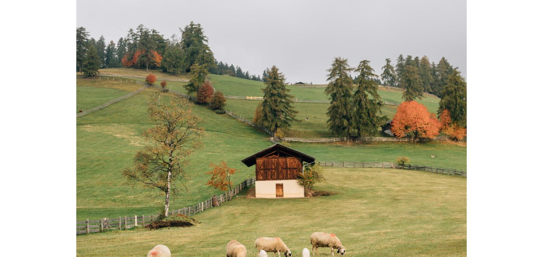 Our alpine pastures: place of recreation and habitat