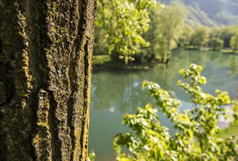 Erholung & Natur