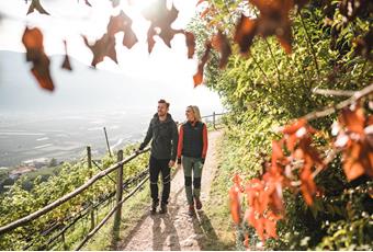 Autumn walk along the Waalweg of Marling