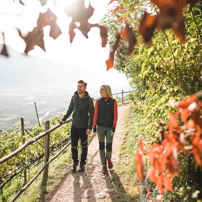 Herbstspaziergang am Marlinger Waalweg