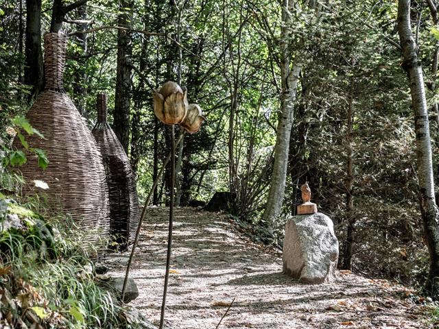 Helmuth Rier - Waldweg