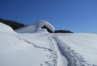 Mountain huts