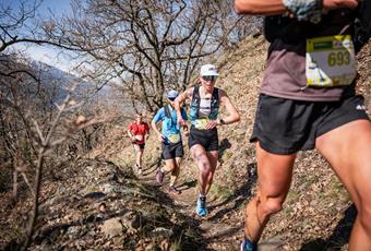 Sunny Mountain Trail