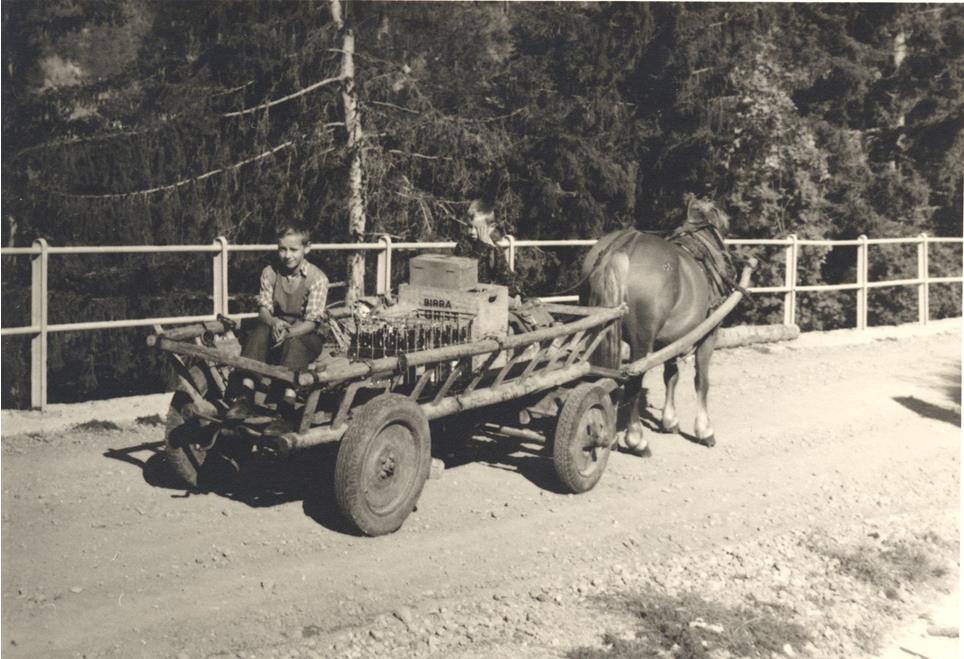 pferdefuhrwerk2-stefan-gruber-2