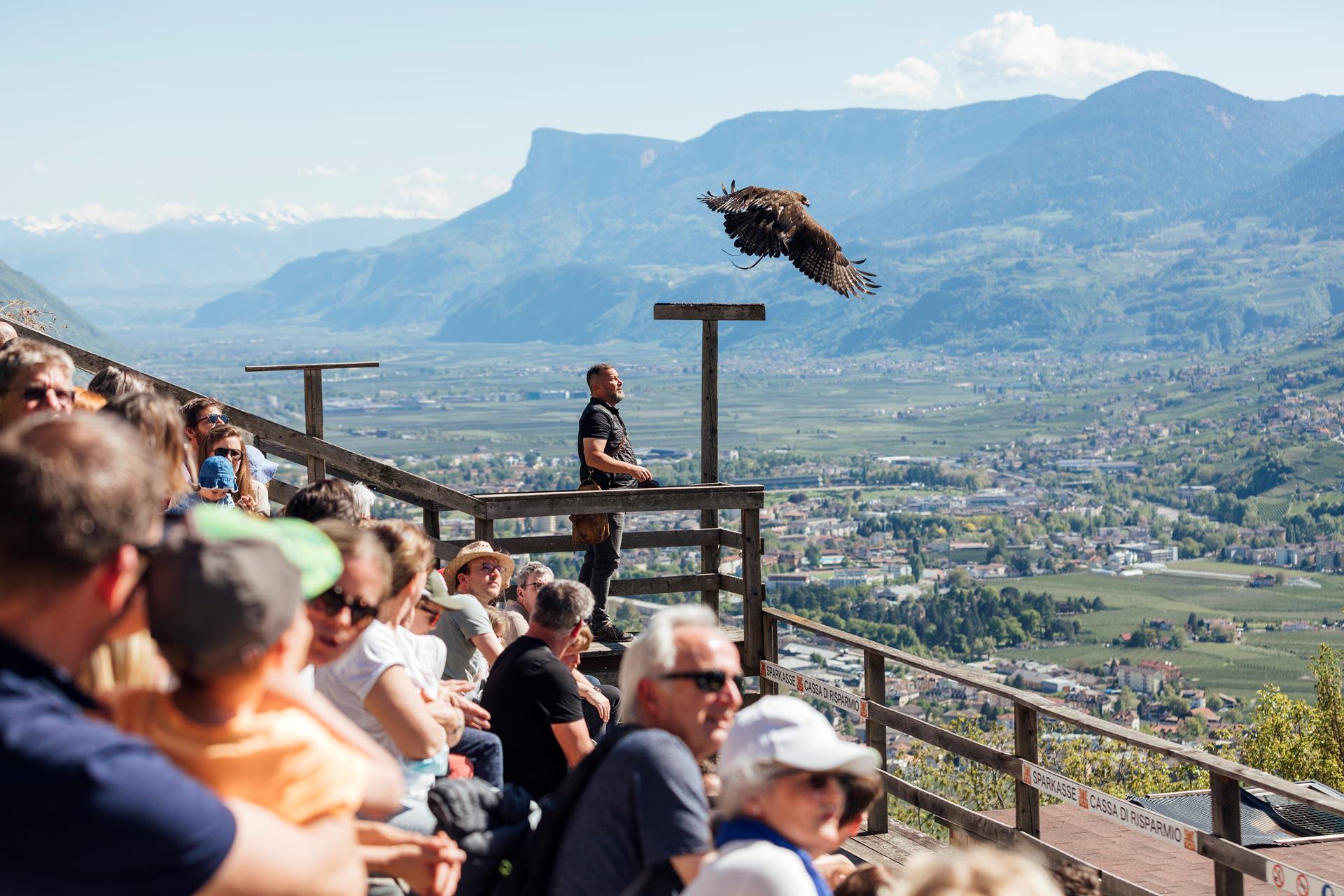 Thomas Roetting -Gufyland