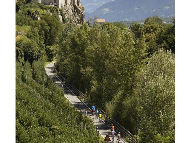 The beautiful cycle path near Castelbello in the Venosta Valley