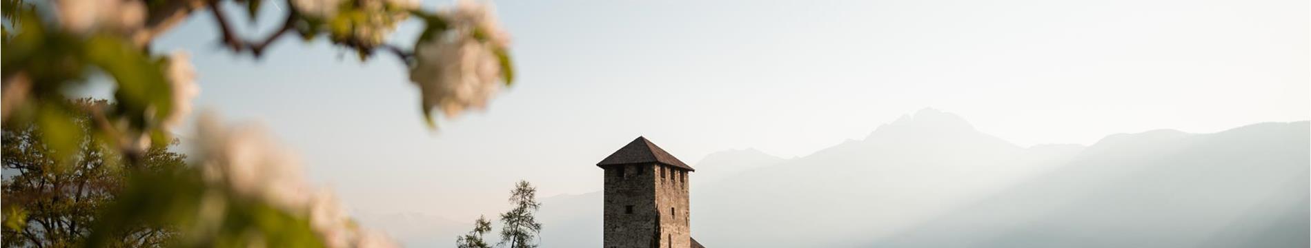 lanaregion-it-patrick-schwienbacher-bluete-26