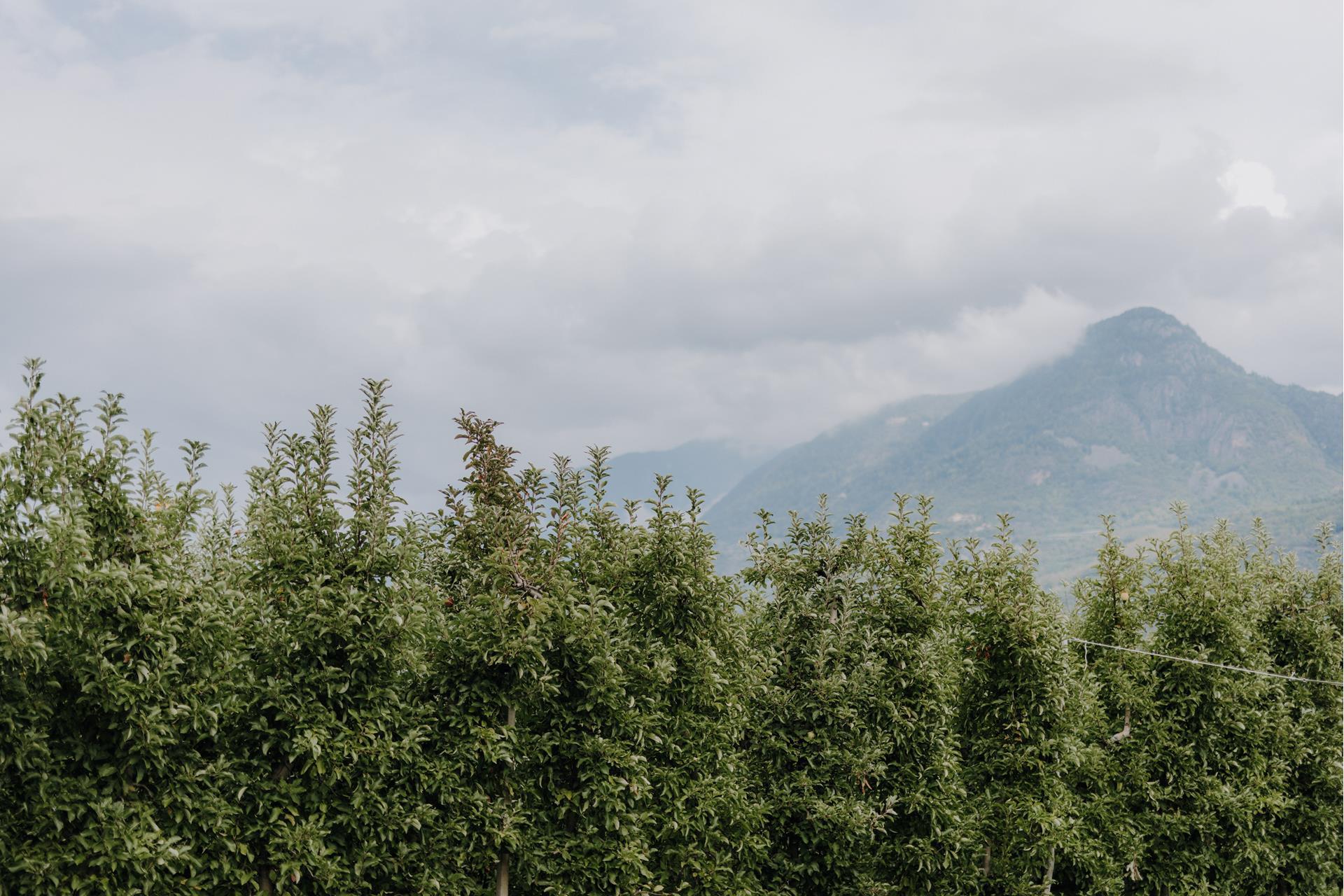 lanaregion-it-maike-wittreck-vettererhof-20