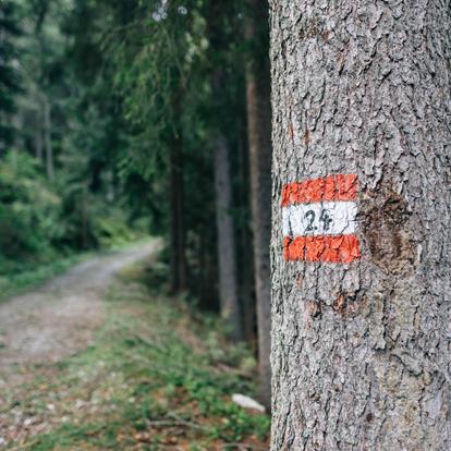 Le sentier d’altitude de Meran (Meraner Höhenweg)