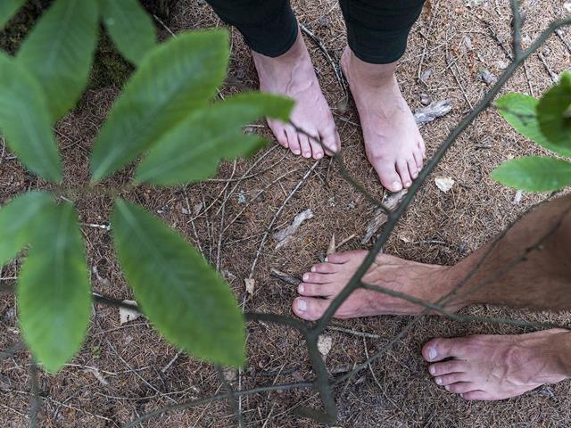 Gesundheit-Waldbaden-Partschins-HR[3]