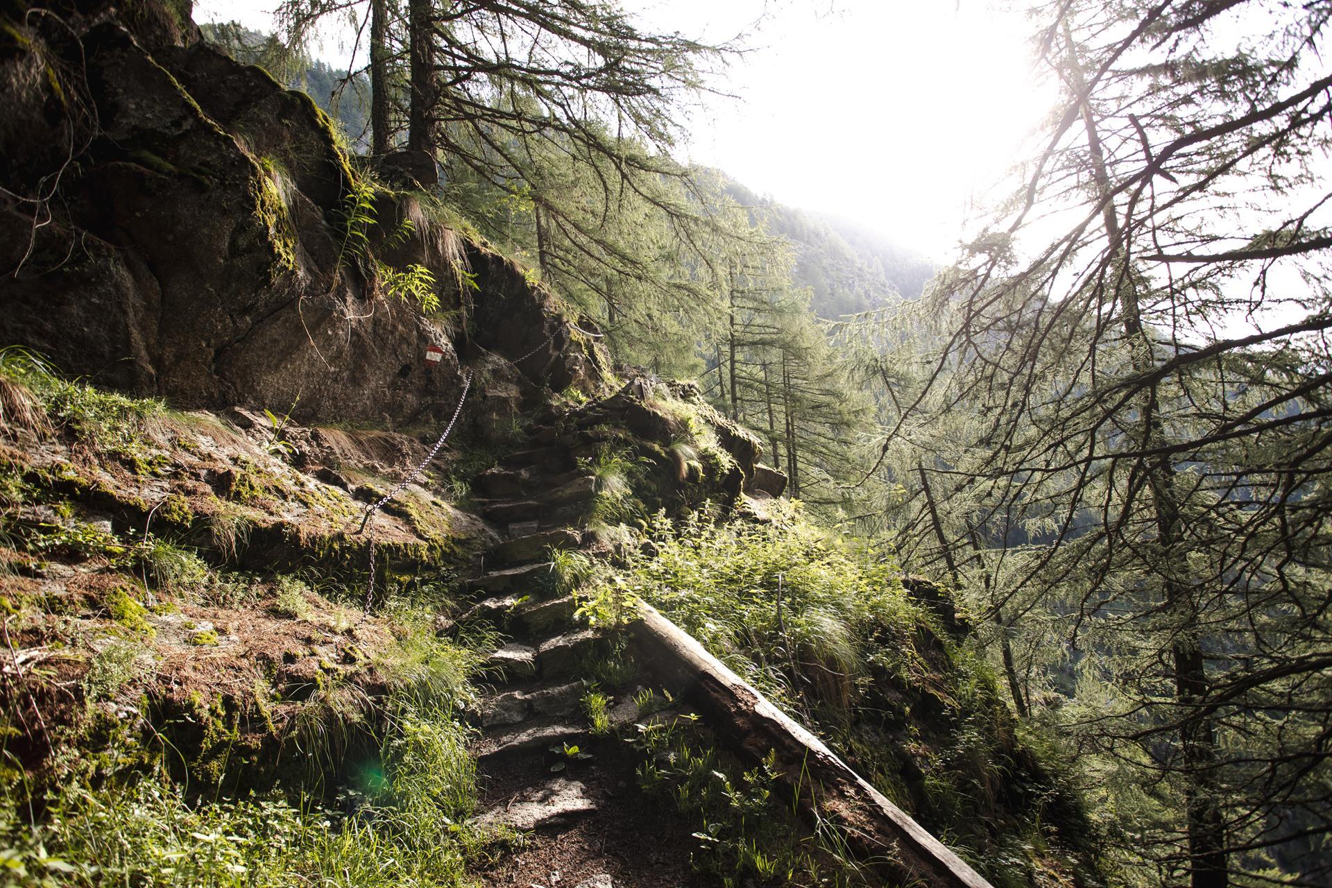 meraner-hoehenweg-wandern-wanderweg-tg-naturns-fotostudio2000-7