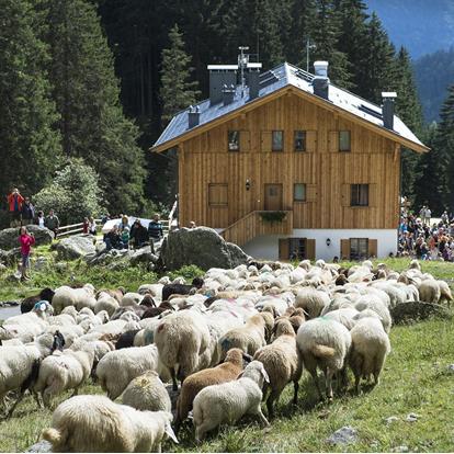 Partschinser Hütten-Trekking am Meraner Höhenweg