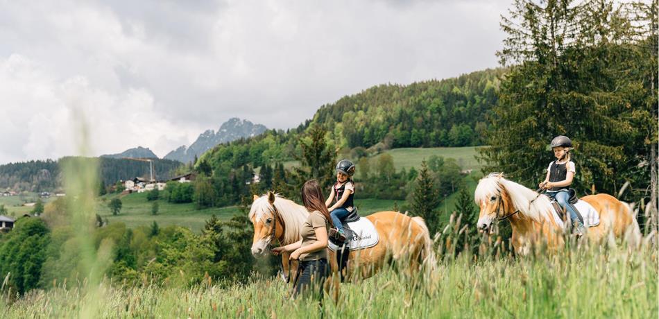 Origin & characteristics