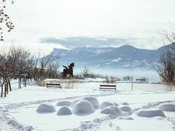 Sie wollen mehr über die Fauna Südtirols vor Ort erfahren?