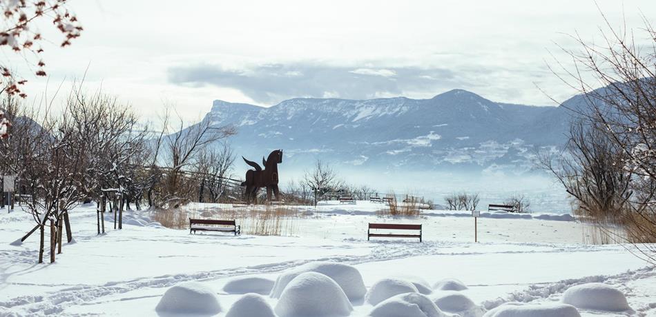 Urlaub in Dorf Tirol