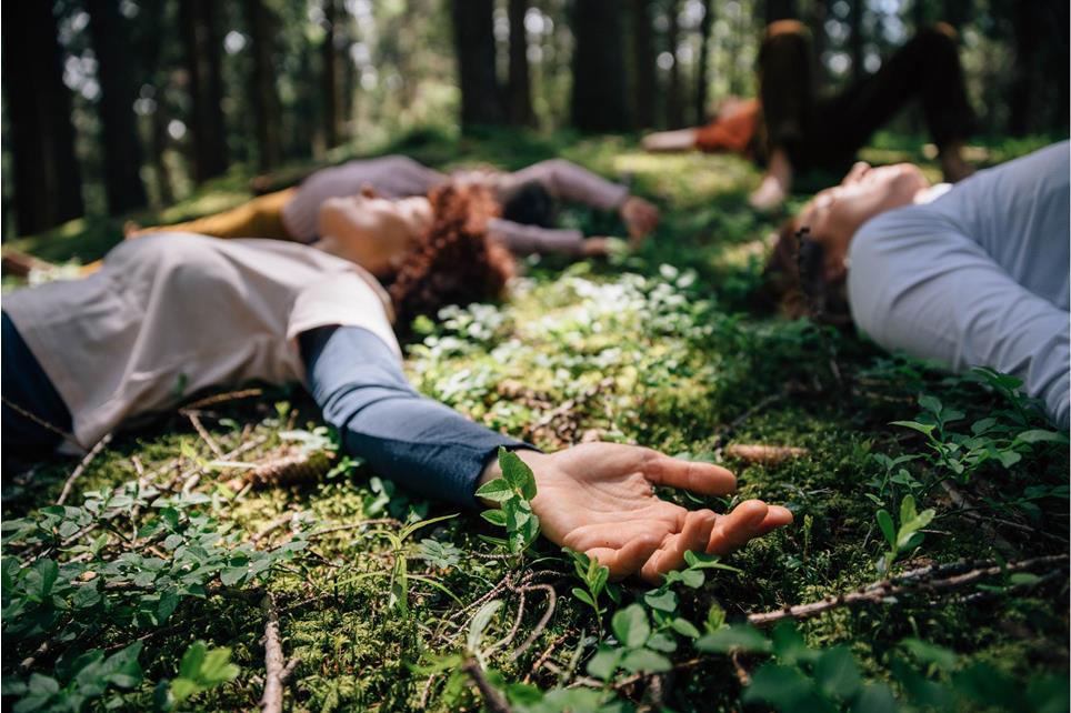 tv-hafling-voeran-meran2000-benjamin-pfitscher-energiequelle-wald-2024-35