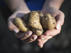 Lo Speck Alto Adige può essere acquistato direttamente presso i masi dei produttori oppure nei tradizionali mercati contadini