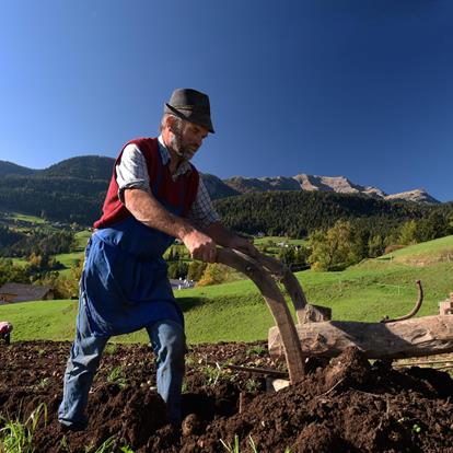 Echte Qualität am Berg