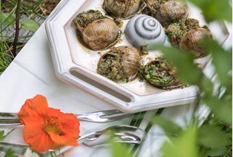 Escargots Bad Egart, cooked au gratin