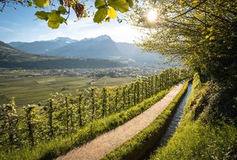 The Waalweg Trail of Marling