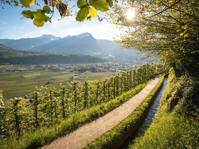 The Waalweg Trail of Marling