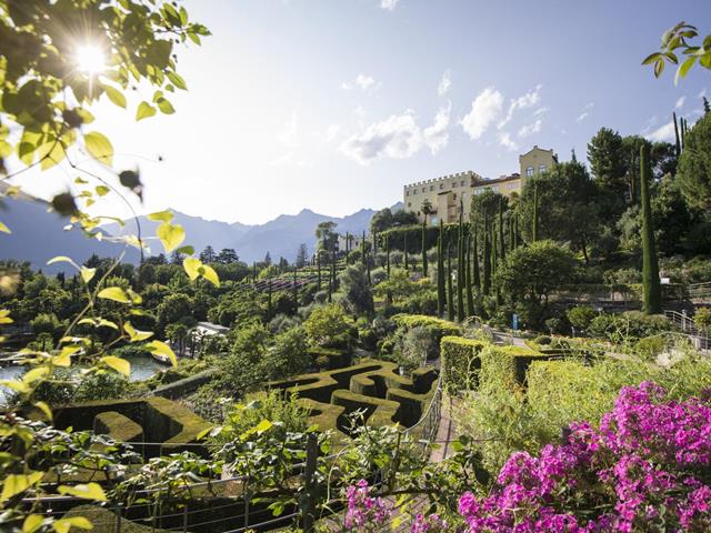 01-titel-idm-alex-filz-trauttmansdorff-15