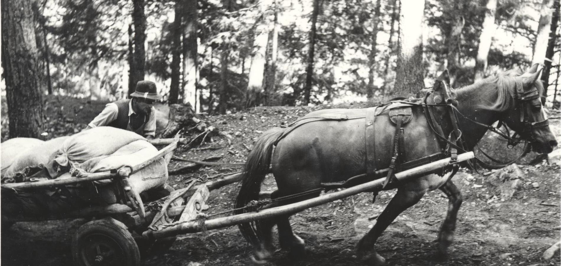 Un lungo cammino: storia (e storie) dei trasporti ad Avelengo