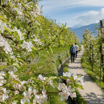 Willkommen in Marling – Frühling voller Natur, Genuss und Erholung