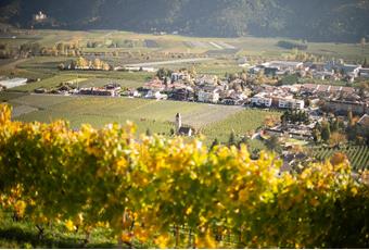 Wine estates in Naturno