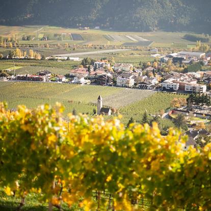 Wine estates in Naturno
