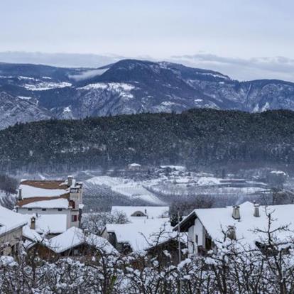 Winter holidays in Tesimo - Prissiano