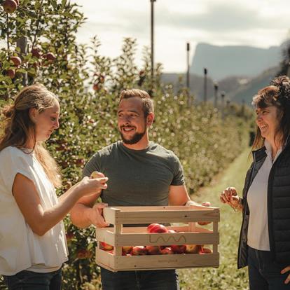 Maßgeschneiderte Erlebnisse und Aktivitäten in Lana und Umgebung