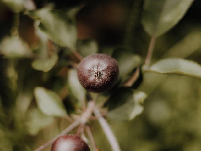 lanaregion-it-maike-wittreck-rocco-22